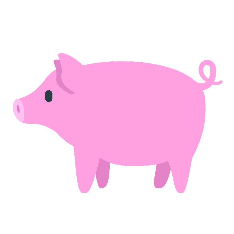 Pig
