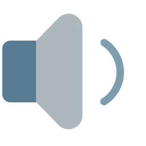 Speaker medium volume
