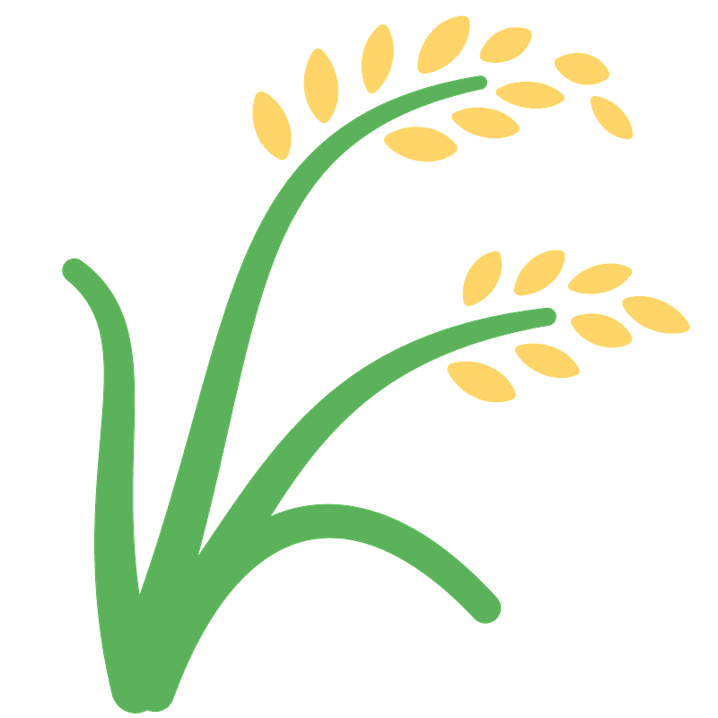 Sheaf of rice