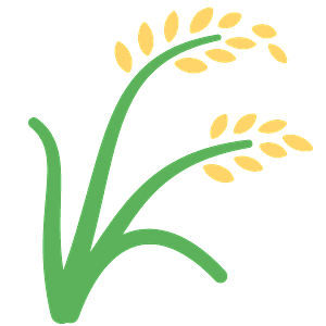 Sheaf of rice