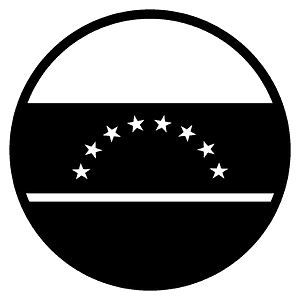 Venezuela flag