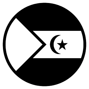 Western Sahara flag