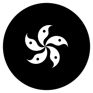 Hong Kong SAR China flag
