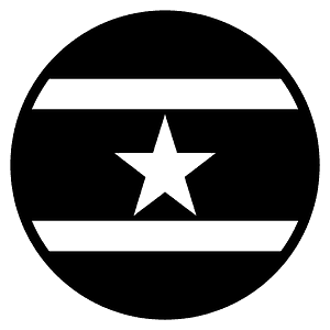 Suriname flag