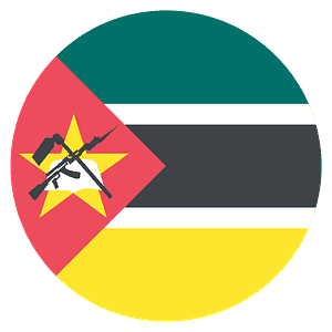 Mozambique flag