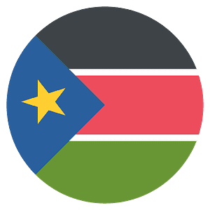 South Sudan flag