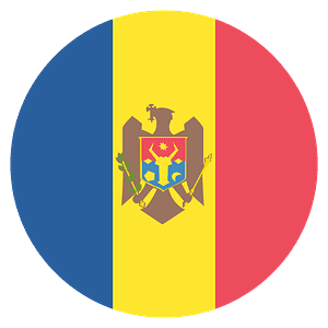 Moldova flag