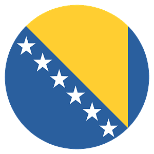 Bosnia & Herzegovina flag