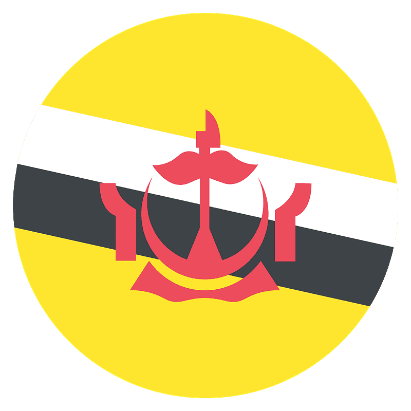 文莱 旗