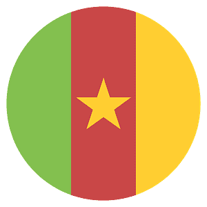 Cameroon flag