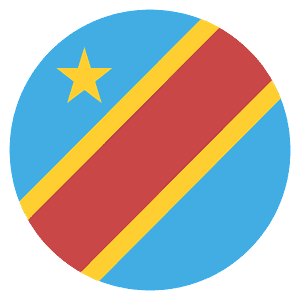 Congo - Kinshasa flag
