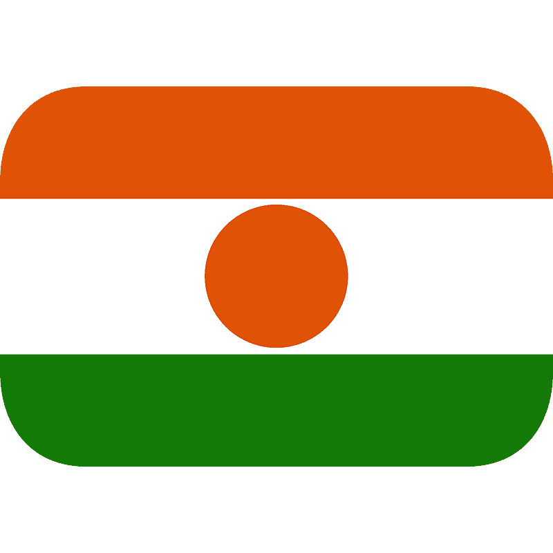 Niger flag