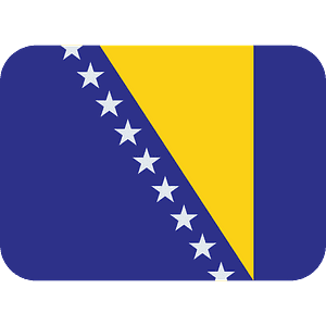 Bosnia & Herzegovina flag