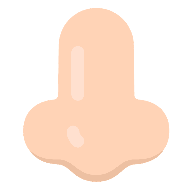 Näsa