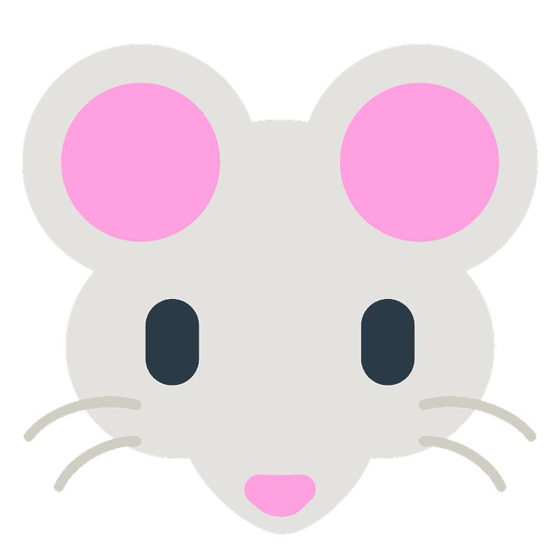 Mouse face
