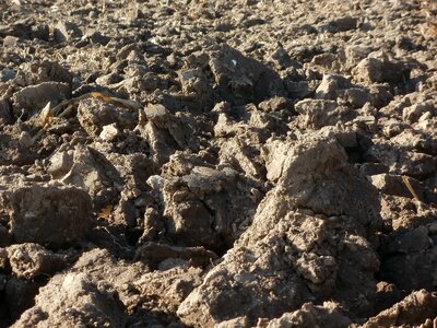 Agriculture rural farming photo