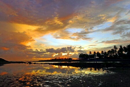 Sea nature beach photo