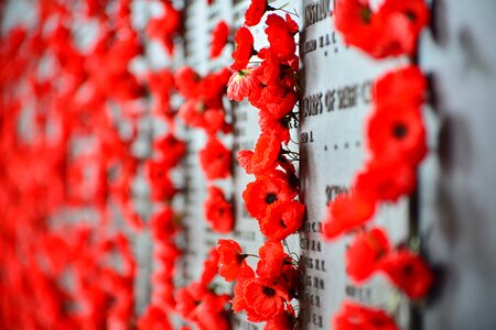 Memorial war australia photo