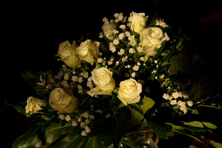 Bouquet bouquet of roses white roses