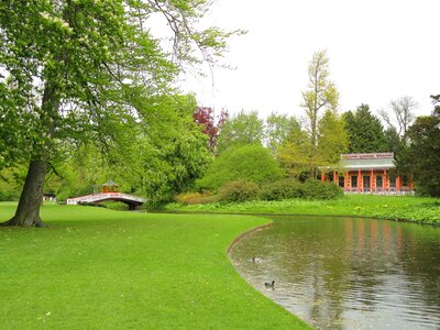 Water reflections park photo