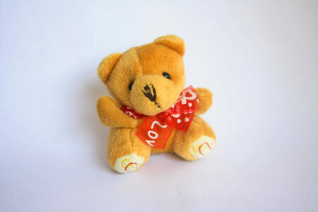 Teddy Love photo