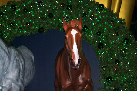 1 Horse