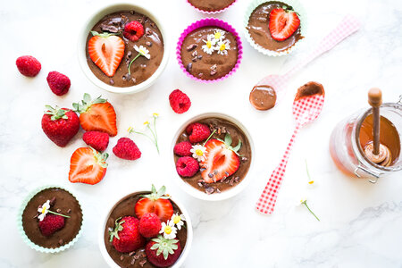 Chocolate Cream with Red Fruits, Top View photo