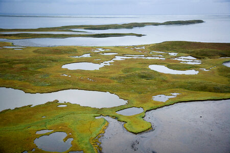 Izembek National Wildlife Refuge-2