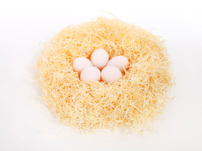 Eggs In Nest photo