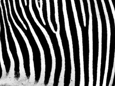 Bar black white