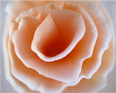 Fold circle devoured
