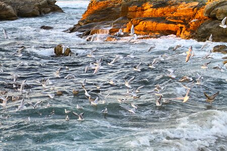 Surf spray rock
