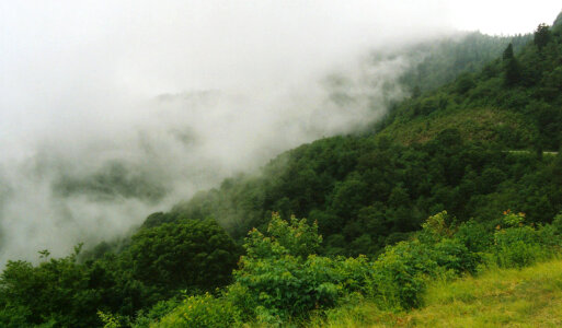 Low Clouds over the Hill at Great Smoky Mountains National Park, Tennessee photo