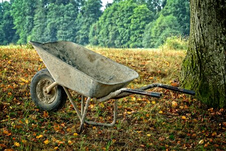 Craft cart transport photo