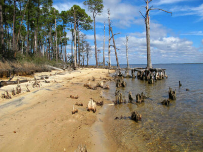 Beach erosion-1 photo