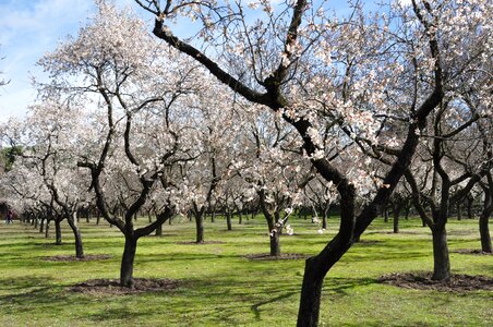 Garden park beautiful