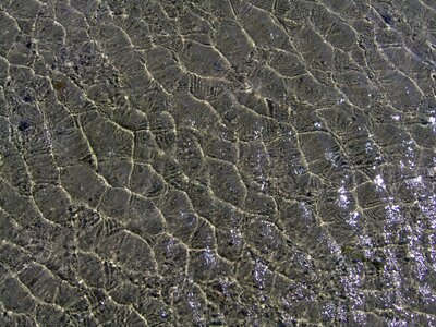 North sea sea nordfriesland