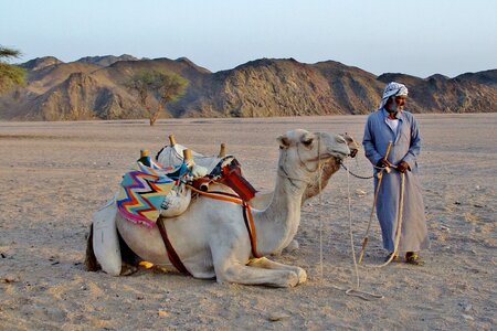 Desert sand egypt photo