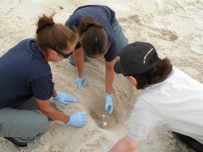 Sand scientists teenage photo