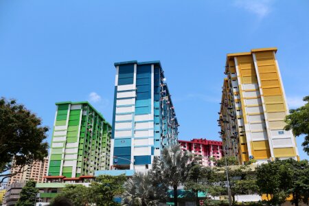 Flat structure colorful
