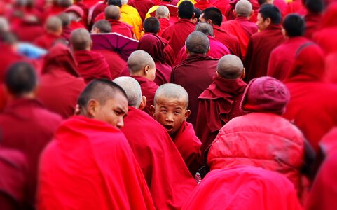 Buddhism celebration spirituality