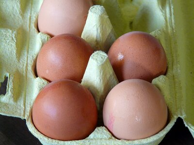 Egg box egg food