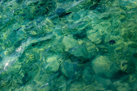 Rocks in a Crystal Clear Water photo