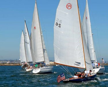 Boat boat race boats