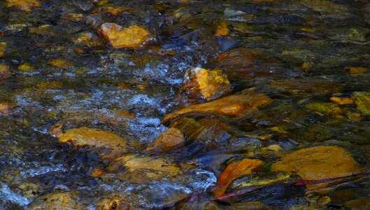 Stones creek bed nature photo