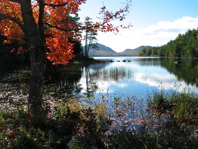 Autumn colors at Eagle Lake Acadia National Park photo