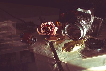 Camera film and rose photo