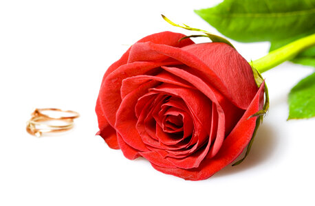 Roses and rings