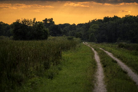 Hiking path into the red sunset at Horicon Marsh photo