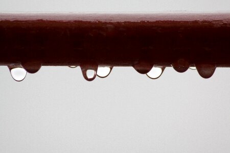 Grey wet drop of water photo